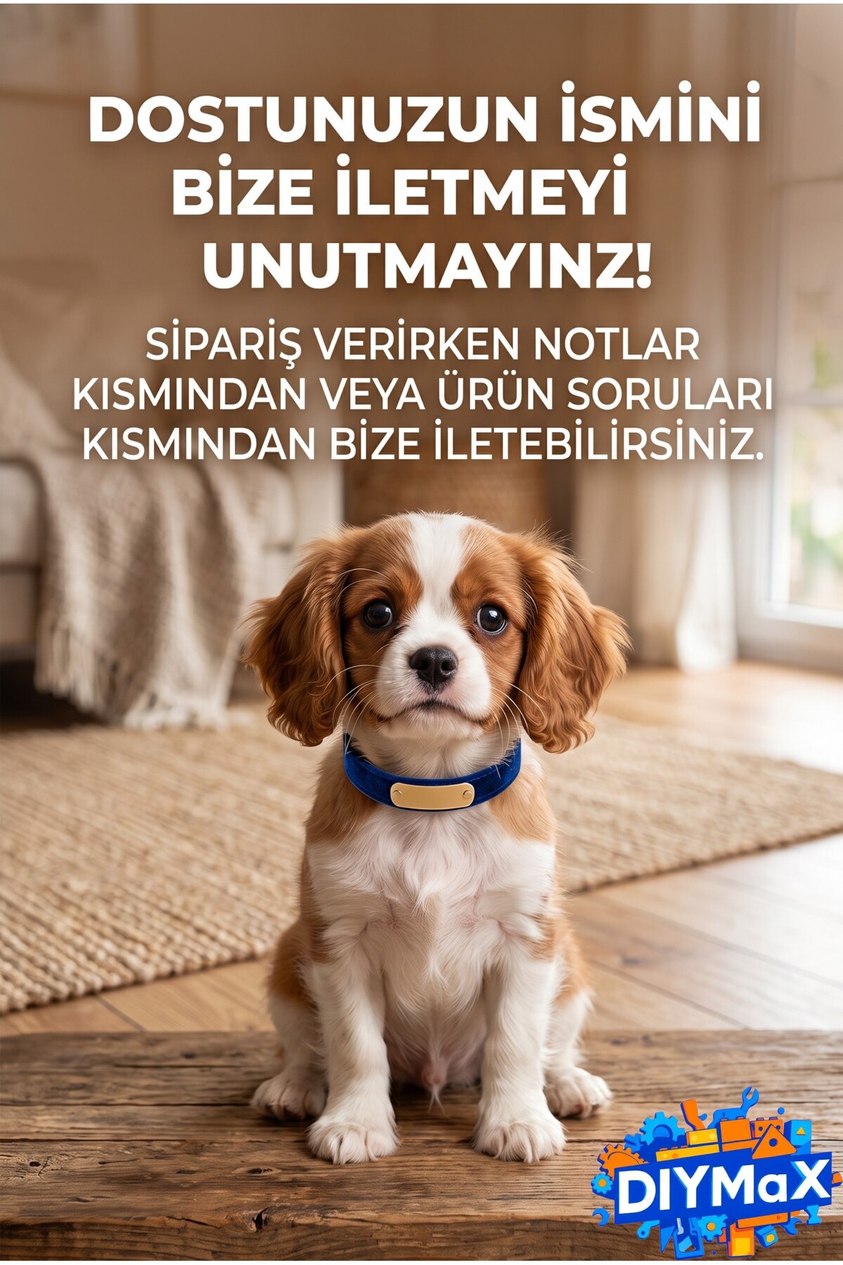 isimlikli Hızlı Yeme Önleyici Köpek Mama Kabı Labirent Tasarım Küçük Boy 12 cm