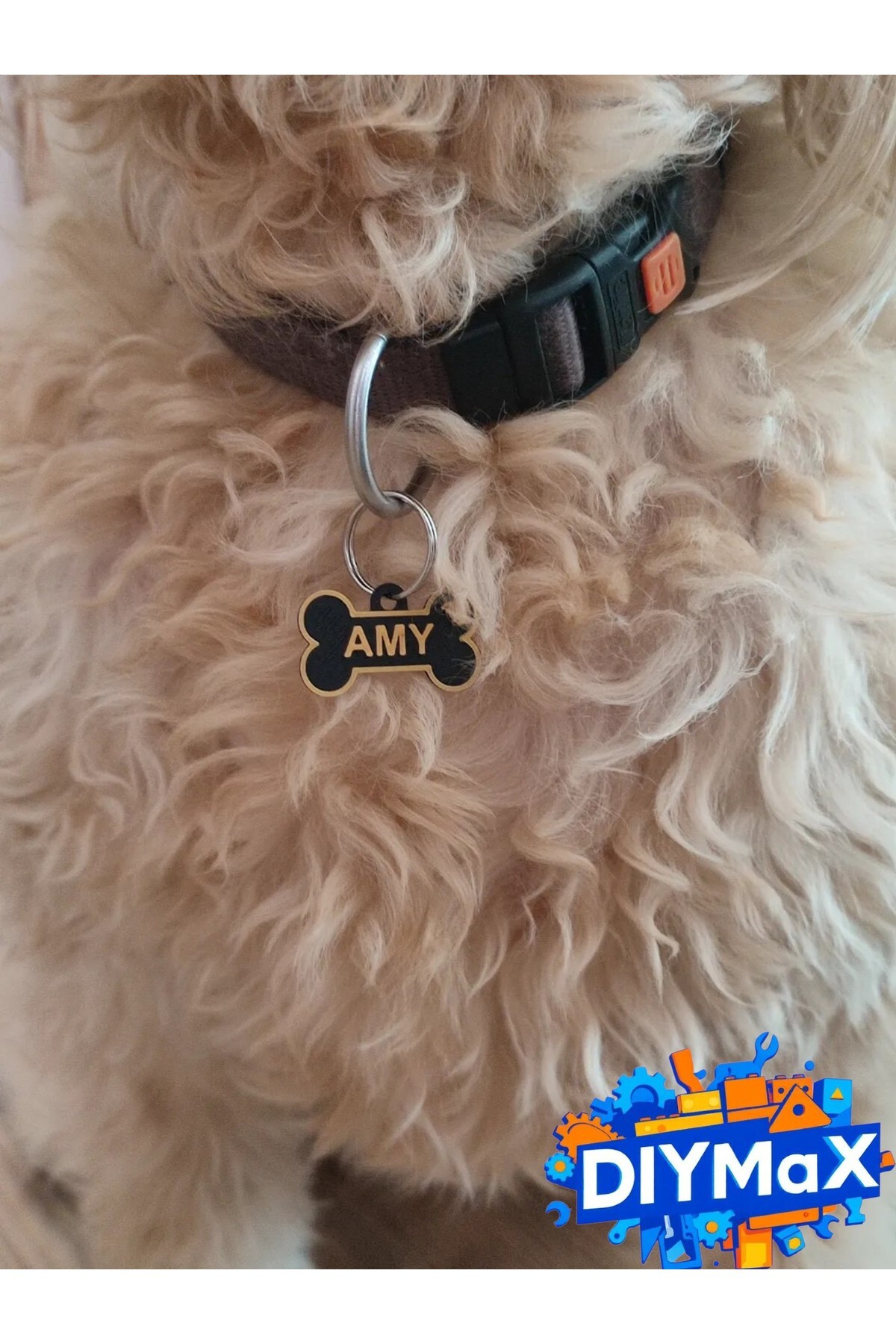 Kişiye Özel Köpek Künyesi İsimli Tasma Plakası Anahtarlık35mm