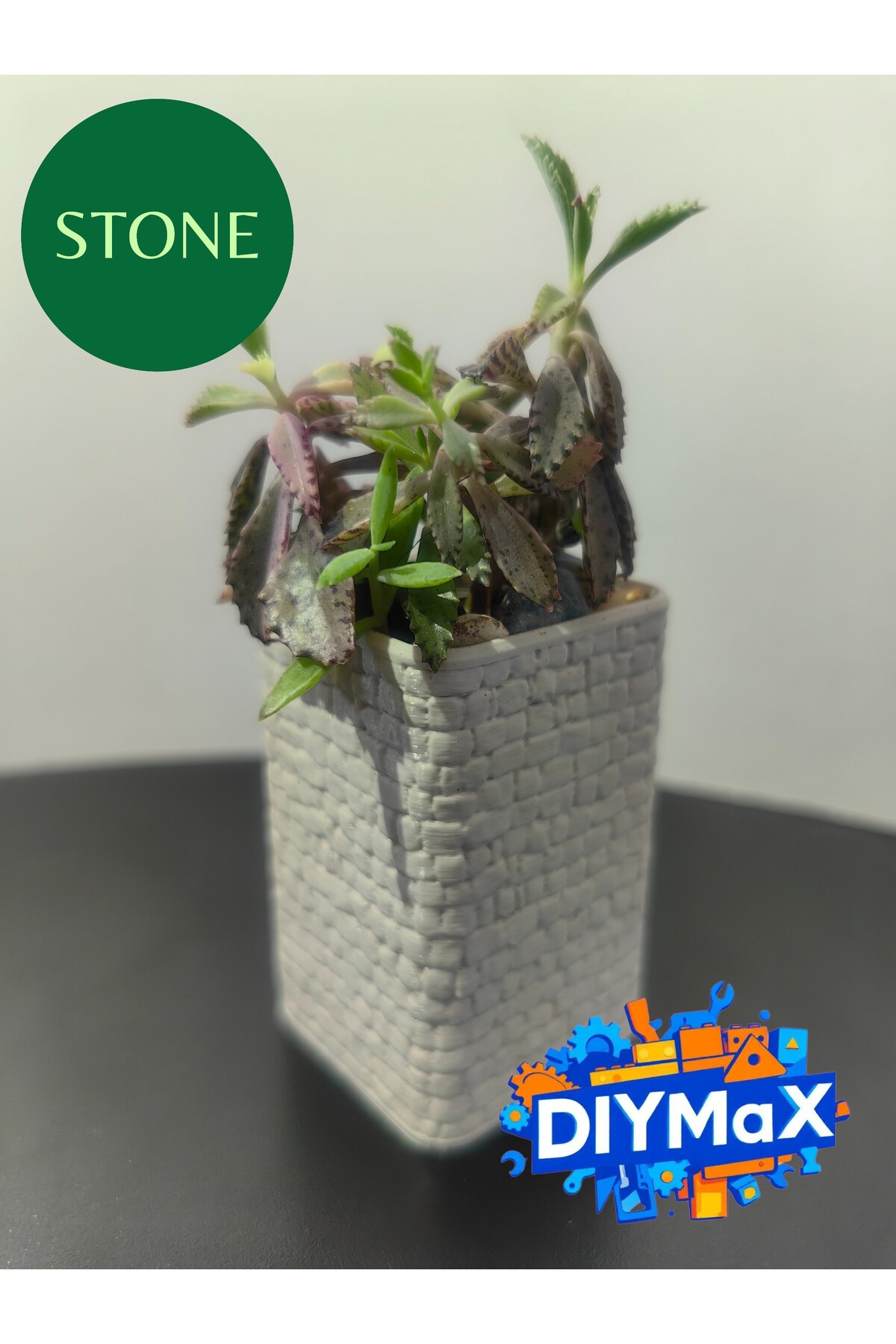 STONE Model Dekoratif Saksı 5x5x8 cm – Parmaklık Desenli Modern Mini Sukulent & Kaktüs Saksısı